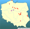 powiększ