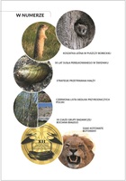 grafika dotycz&aogon;ca tematyki zeszytu&colon; Chro&nacute;my Przyrod&eogon; Ojczyst&aogon; zima 2025