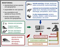 grafika do notki o publikacji pt&period;&colon; An Urgent Call for the Coordinated Monitoring of European Freshwater Mussels