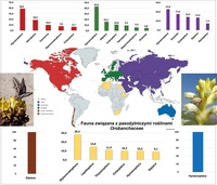 grafika&colon; Fauna zwi&aogon;zana z paso&zdot;tniczmi ro&sacute;linami Orobanchaceae