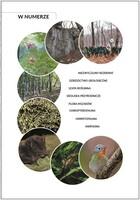 grafika czasopisma Chro&nacute;my Przyrod&eogon; Ojczyst&aogon; Tom 84 Zeszyt 2 lato Rok 2026&comma; dotyczy&colon; Kleszczowskie W&aogon;wozy &ndash; niezwyczajny rezerwat przyrody&comma; historia powstania&comma; dziedziectwo geologiczne&comma; szata ro&sacute;linna&comma; siedliska przyrodnicze&comma; flora mszak&oacute;w&comma; herpetofauna&comma; chiropterofauna&comma; awifauna