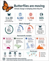 Grafika&colon; Butterflies are movin&period; Cimate change is reshaping where they live&period;
