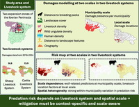 grafika publikacji pod tyu&lstrok;em&colon; Spatiotemporal patterns of livestock predation across contrasting farming systems in an expanding grey wolf population