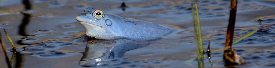 Fot. Grzegorz Baś